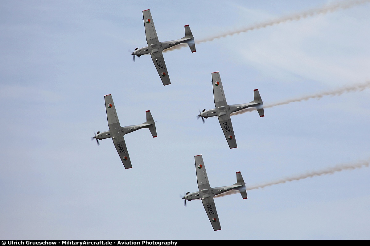 Silver Swallows Aerobatic Team